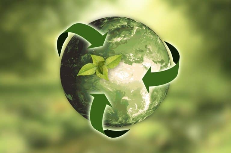 Sustainability reporting
