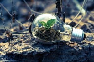 Corporate Sustainability Reporting Directive