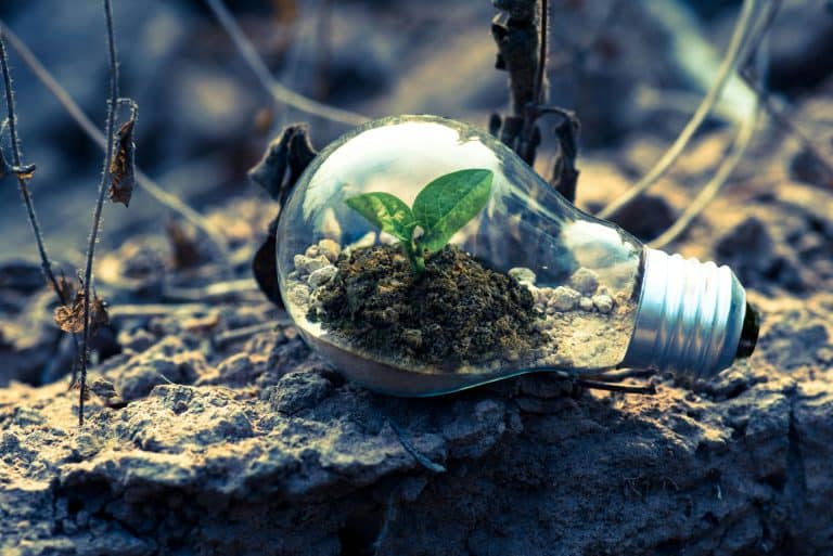 Corporate Sustainability Reporting Directive
