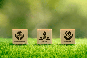 Environmental, Social, and Governance (ESG) standards