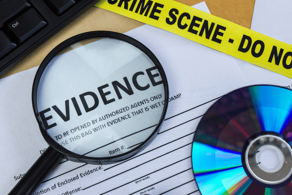 Leveraging Forensic Accounting using Lighthouse Consultants
