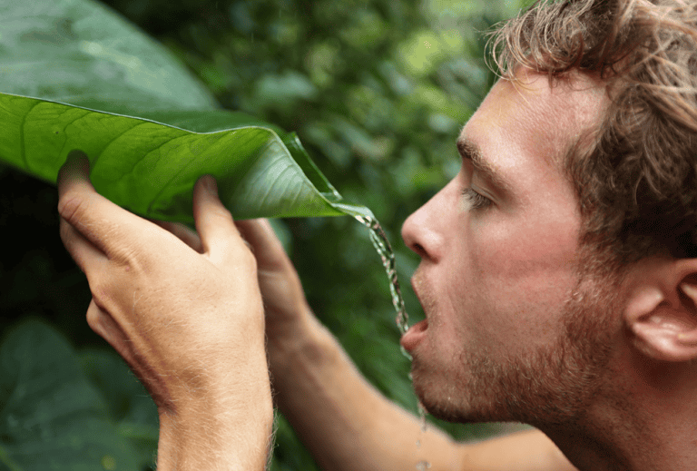 Survival is abundance and not scarcity
