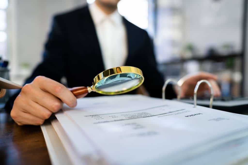 Audit as a Career