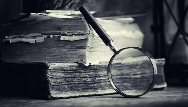 Forensic accountants for fraud