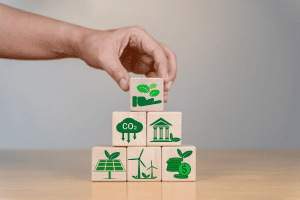 Sustainability Reviews and Carbon Accounting and ESG