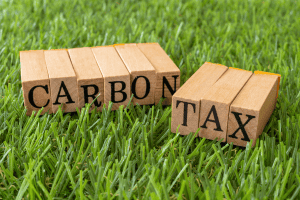 Sustainability Reviews and carbon accounting
