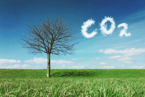 Carbon Accountant in London