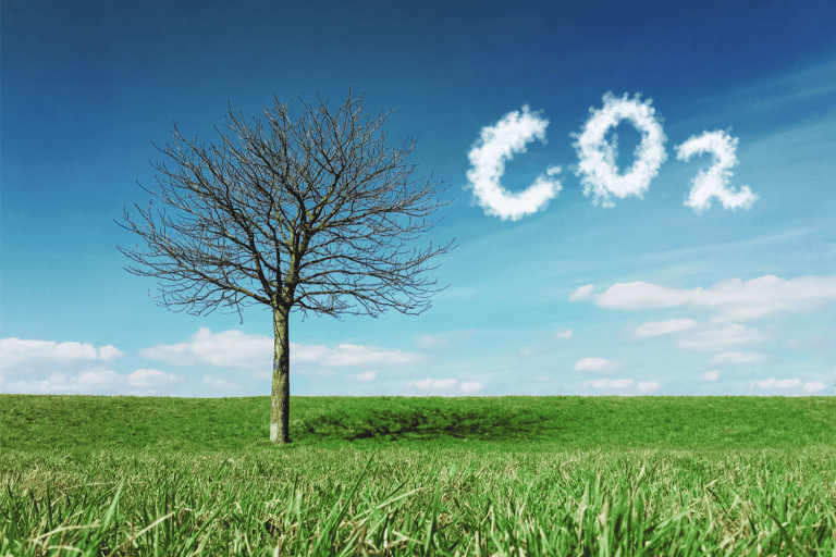 Carbon Accountant in London