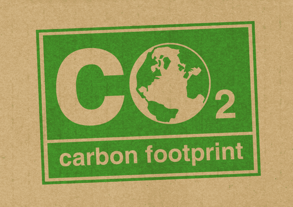 Expert Advice for Carbon Accounting