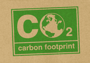 Expert Advice for Carbon Accounting