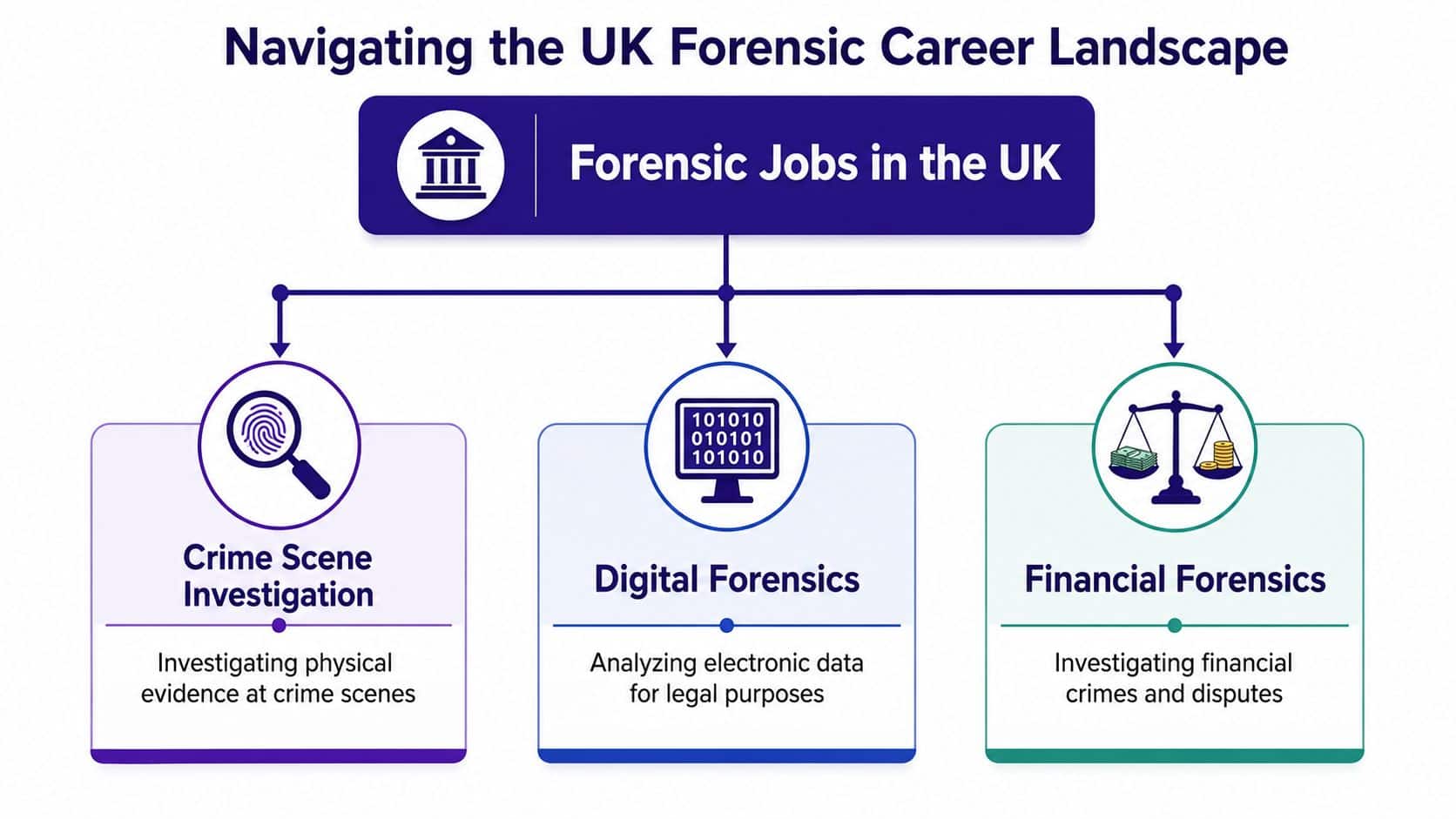 A diagram illustrating three main types of forensic careers in the UK: crime scene, digital, and financial forensics.