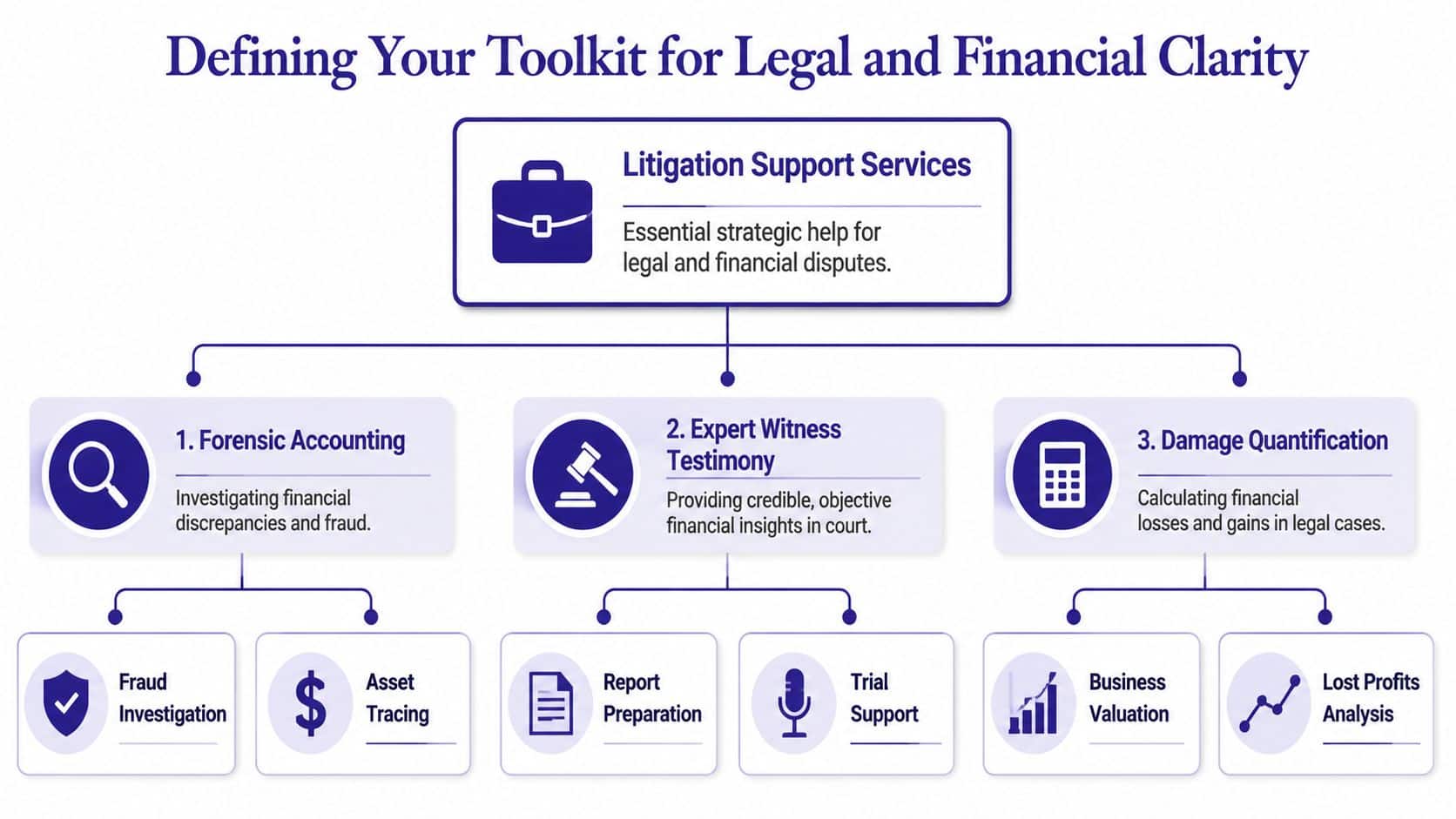 A diagram outlining litigation support services including forensic accounting, expert witness testimony, and damage quantification for legal cases.