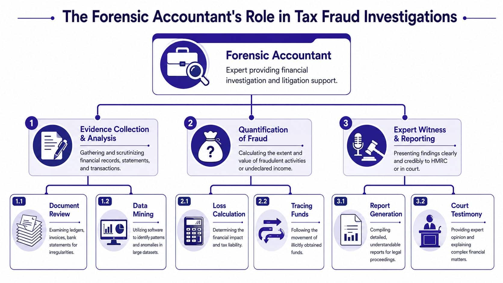 A flowchart detailing the role of a forensic accountant in tax fraud investigations through three main stages.